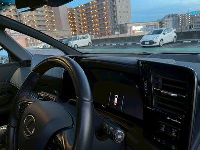 2024 Lexus LM 照片 75