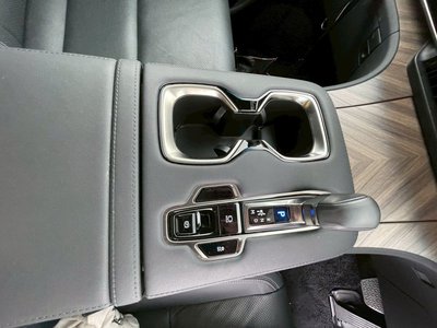 2024 Lexus LM 照片 77