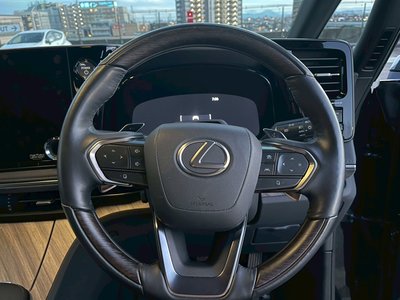 2024 Lexus LM 照片 40