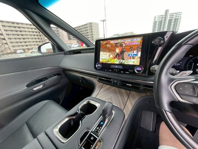 2024 Lexus LM 照片 47