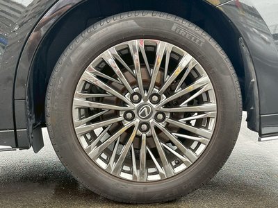 2024 Lexus LM 照片 32