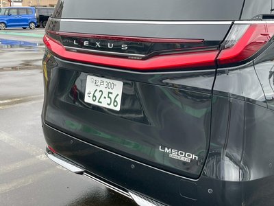 2024 Lexus LM 照片 22