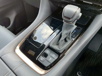 2024 Toyota ALPHARD 照片 31