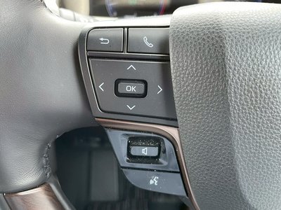 2024 Toyota ALPHARD 照片 20