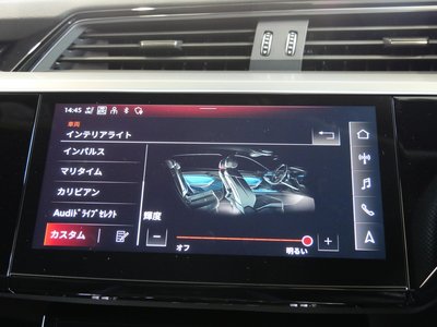 2024 AUDI Q8 E-TRON photo 31