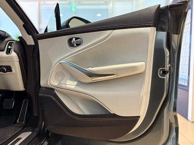 2021 Aston Martin DBX 照片 20