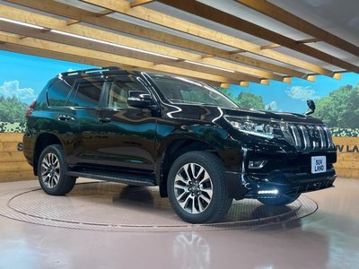 2023 Toyota LAND CRUISER PRADO — фото 17