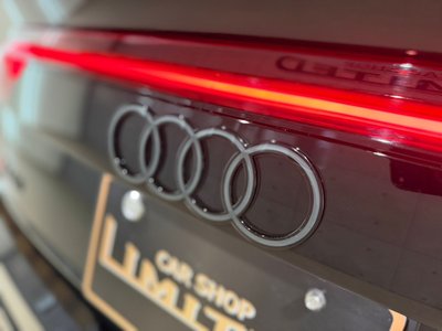 2024 AUDI SQ8 照片 20