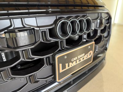 2024 AUDI SQ8 照片 19