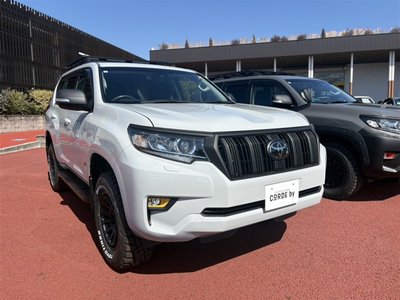 2020 Toyota LAND CRUISER PRADO 照片 1