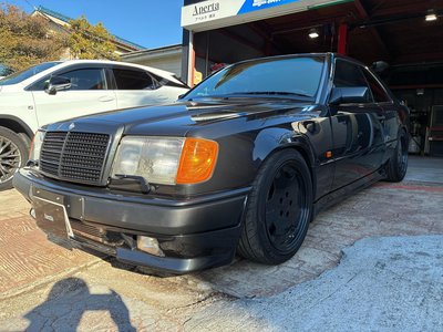 1984 Mercedes-BENZ MEDIUM-CLASS photo 2