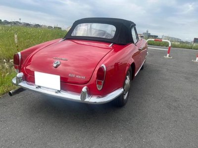 صورة 6 لـ 1966 ALFA Romeo JULIA