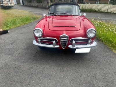 صورة 3 لـ 1966 ALFA Romeo JULIA