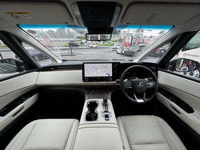 2025 Lexus LM photo 7