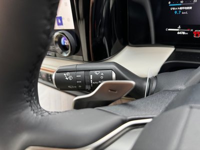 2025 Lexus LM photo 9