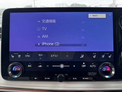 2025 Lexus LM photo 16