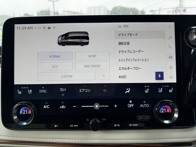 2025 Lexus LM thumbnail 17