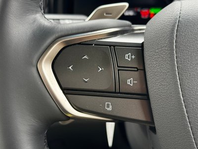 2025 Lexus LM photo 11