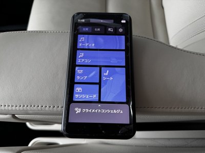 2025 Lexus LM thumbnail 57