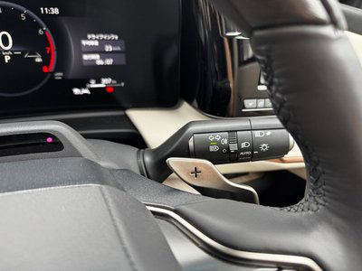 2025 Lexus LM photo 10