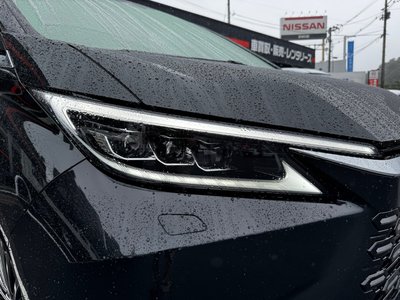 2025 Lexus LM thumbnail 83