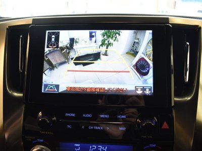 2022 Toyota ALPHARD — миниатюра 19
