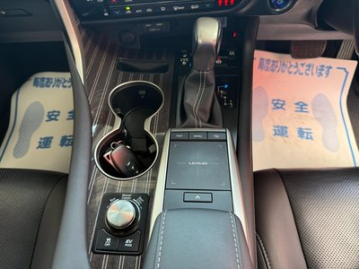 2022 Lexus RX thumbnail 28