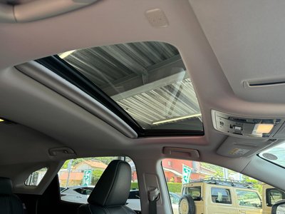 2022 Lexus RX thumbnail 29