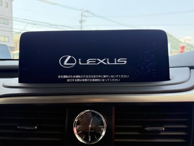 2022 Lexus RX thumbnail 24