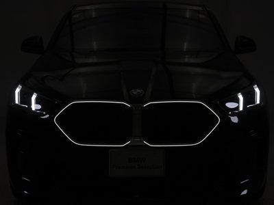 2025 BMW X2 缩略图 21