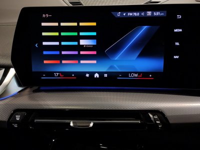 صورة مصغرة 61 لـ 2024 BMW X2