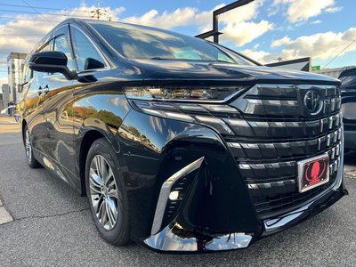2025 Toyota ALPHARD — фото 10