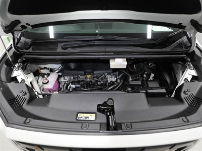 2023 Toyota ALPHARD 照片 50