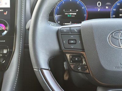 2025 Toyota ALPHARD 缩略图 34