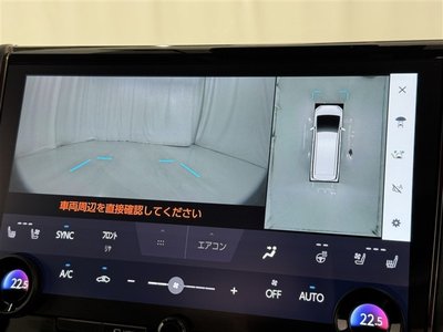 2024 Toyota ALPHARD 照片 15