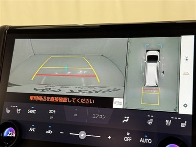 2024 Toyota ALPHARD 照片 14