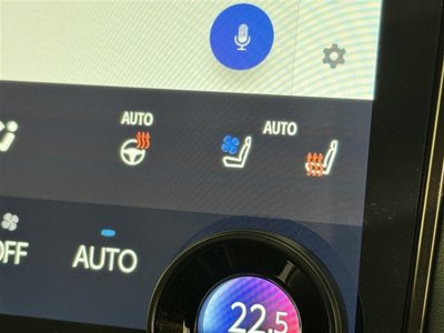 2024 Toyota ALPHARD 照片 20