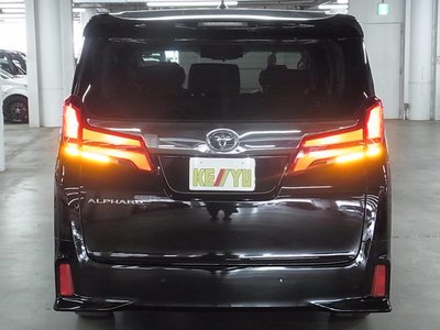 2021 Toyota ALPHARD 照片 10