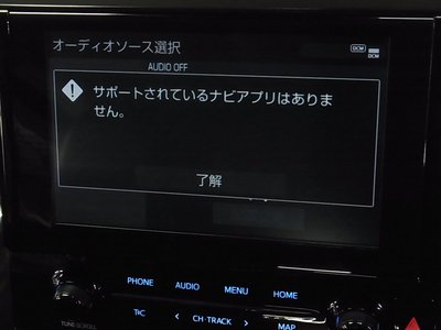 2021 Toyota ALPHARD 照片 25