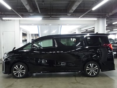 2021 Toyota ALPHARD 照片 13