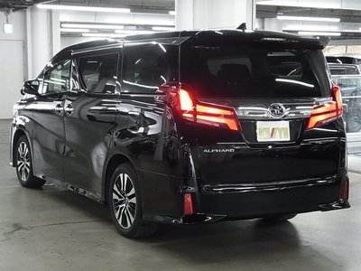 2021 Toyota ALPHARD 照片 11
