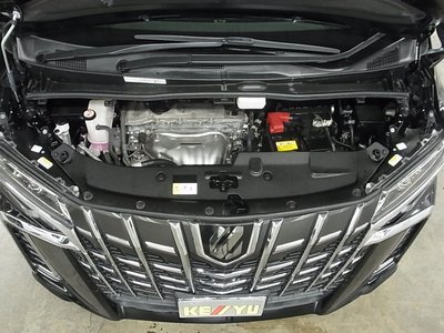 2021 Toyota ALPHARD 照片 47