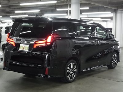 2021 Toyota ALPHARD 照片 6