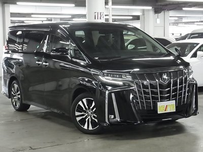 2021 Toyota ALPHARD 照片 8