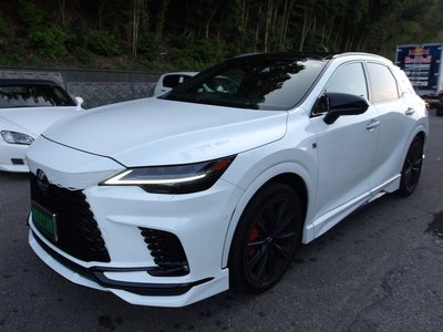 2025 Lexus RX photo 1
