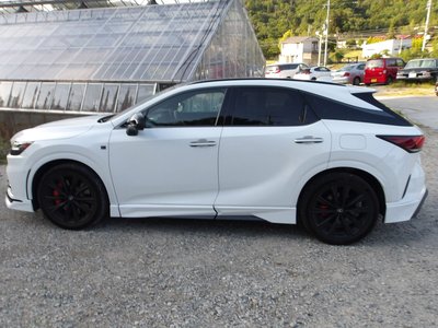 2025 Lexus RX photo 2