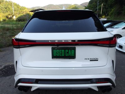 2025 Lexus RX photo 9