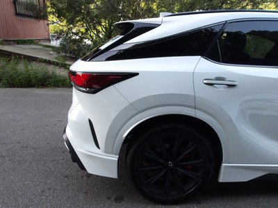 2025 Lexus RX photo 12
