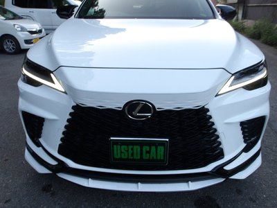 2025 Lexus RX thumbnail 17