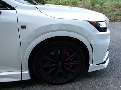 2025 Lexus RX photo 15